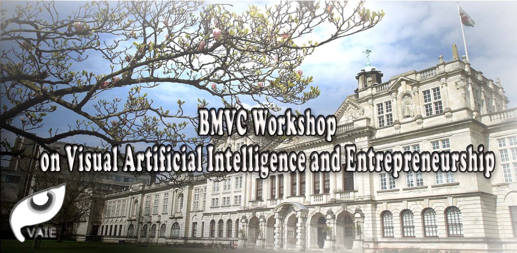 BMVC on Visual Artificial Intelligence and Entrepreneurship